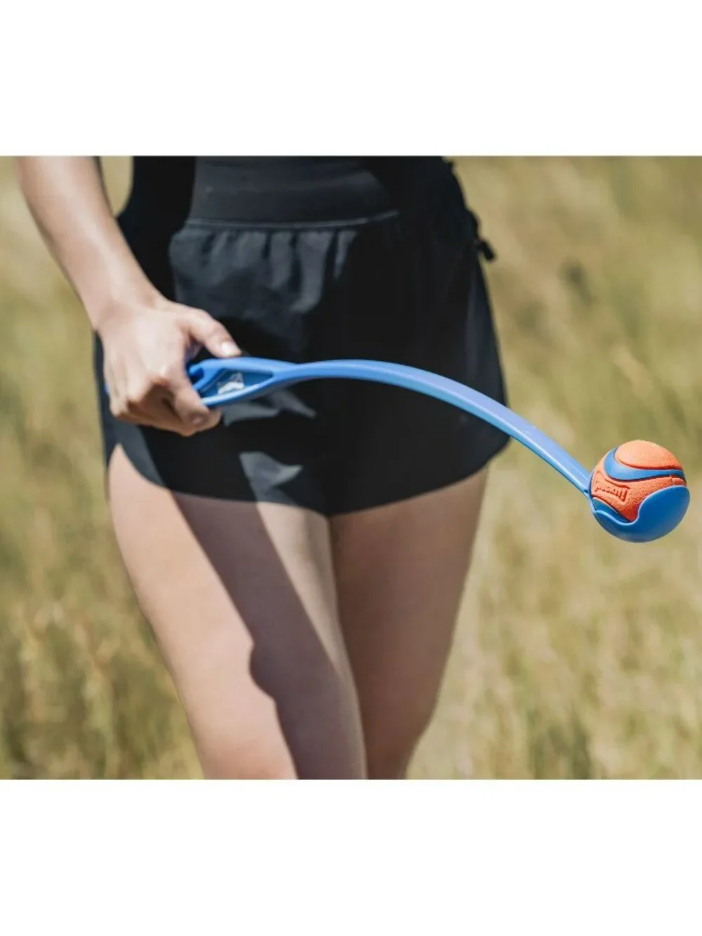 𝗖𝗵𝘂𝗰𝗸𝗶𝘁! 𝗨𝗟𝗧𝗥𝗔 𝗕𝗔𝗟𝗟 Dog Toy Orange/Blue (Size Medium) (2 balls)